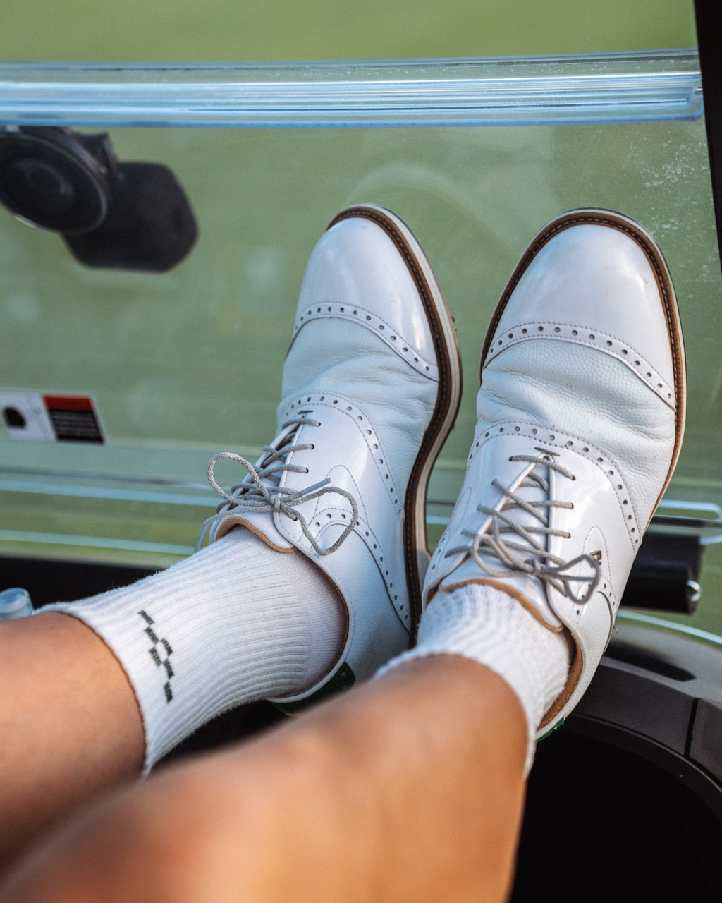 Socks – White | Champions Collection